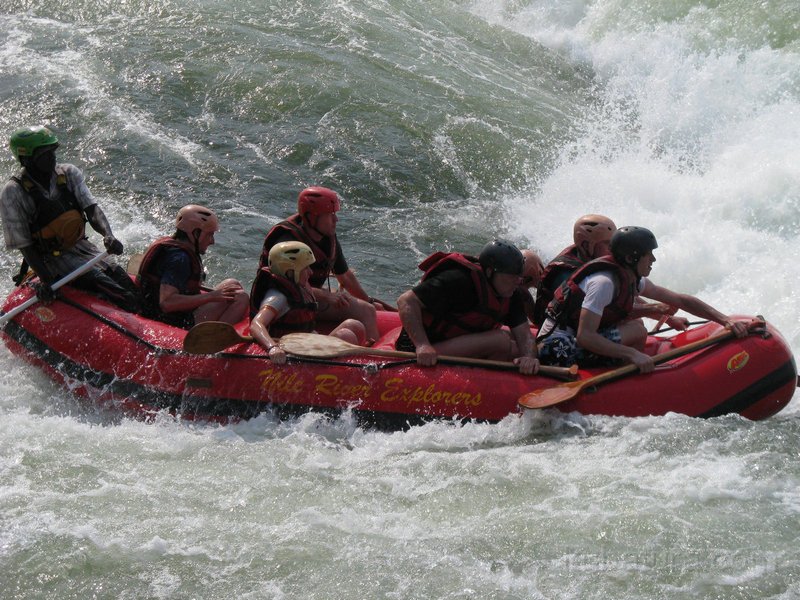 686 674 IMG_2843.jpg